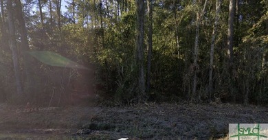 Check out this remarkable piece of land in Midway GA. A perfect - photo 3