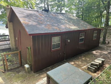 (private lake, pond, creek) Home For Sale in Baldwin Michigan