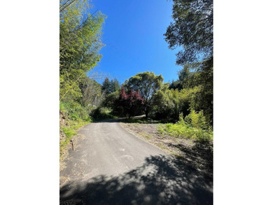 Unique Investment & Landmark Property. A one-of-a-kind - photo 13