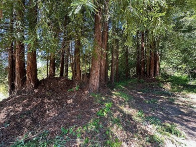 Unique Investment & Landmark Property. A one-of-a-kind - photo 14