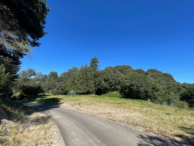 Unique Investment & Landmark Property. A one-of-a-kind - photo 15