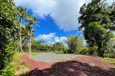 Improved Corner Lot - Ready to Build in Kehena Beach Estates - photo 5