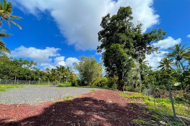 Improved Corner Lot - Ready to Build in Kehena Beach Estates - photo 6