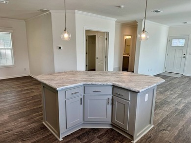 This new Skyline/Champion home has many upgrades including a - photo 8