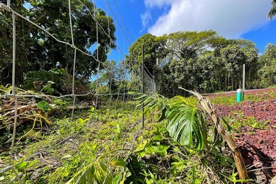 Improved Corner Lot - Ready to Build in Kehena Beach Estates - photo 9