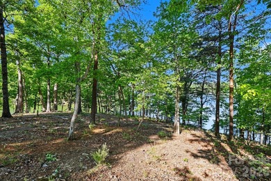 Priced Below Appraised Value.Welcome to luxury waterfront living - photo 37