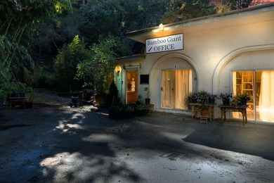 Unique Investment & Landmark Property. A one-of-a-kind - photo 47