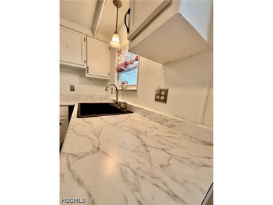 ADORABLE 2-BED, 2-BATH HOME IN 55+ FOREST PARK WHERE YOU OWN THE - photo 9