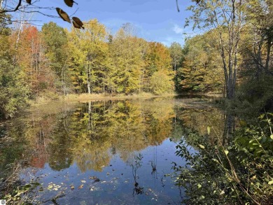 (private lake, pond, creek) Acreage For Sale in Paris Michigan