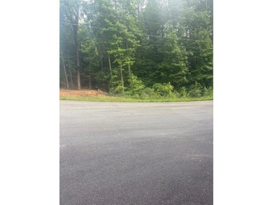 Lake Allatoona Lot For Sale in Acworth Georgia