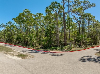Excellent one acre corner lot to build your new home with - photo 2