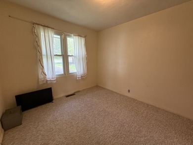 Riverfront Property! Welcome to 22016 W Rt 113, Wilmington, IL - photo 13