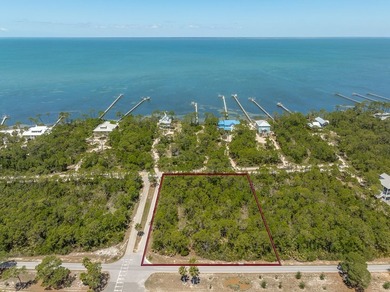 Excellent one acre corner lot to build your new home with - photo 3