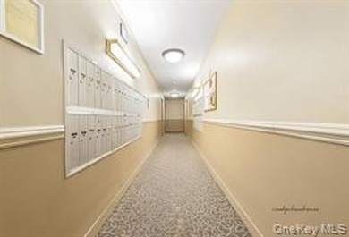 LOVELY SPACIOUS STUDIO, ELEVATOR, LAUNDRY ROOM, LIVE IN SUPER - photo 4