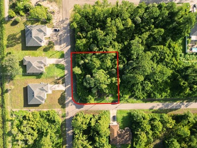 Lehigh Acres Area Lot For Sale in Lehigh Acres Florida