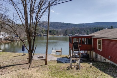 (private lake, pond, creek) Home For Sale in Savona New York