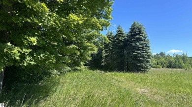 Blue Lake - Kalkaska County Lot For Sale in Kalkaska Michigan