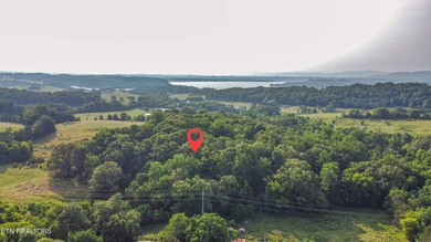 Douglas Lake Acreage For Sale in White Pine Tennessee