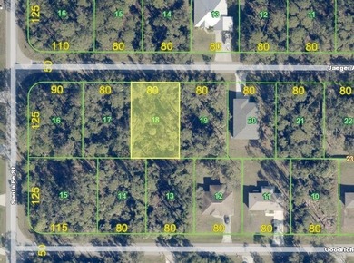 Build your Florida home on this spacious 80-by-125-foot - photo 1