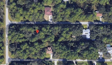 Build your Florida home on this spacious 80-by-125-foot - photo 2