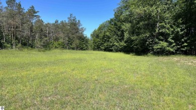 Blue Lake - Kalkaska County Lot For Sale in Kalkaska Michigan