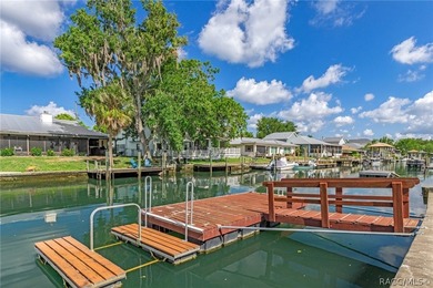 BRAND NEW SEAWALL!! Experience the tranquility of waterfront - photo 49