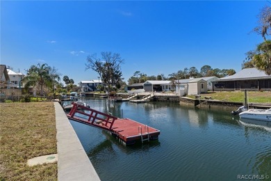 BRAND NEW SEAWALL!! Experience the tranquility of waterfront - photo 50