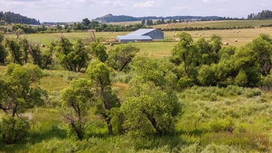 Presenting A Bar Ranch in Douglas County Colorado, a front range - photo 3