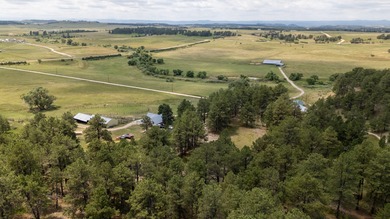 Presenting A Bar Ranch in Douglas County Colorado, a front range - photo 5
