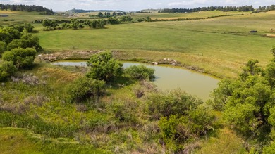 Presenting A Bar Ranch in Douglas County Colorado, a front range - photo 6