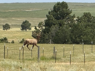 Presenting A Bar Ranch in Douglas County Colorado, a front range - photo 9