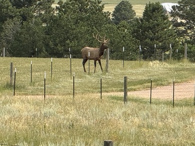 Presenting A Bar Ranch in Douglas County Colorado, a front range - photo 10