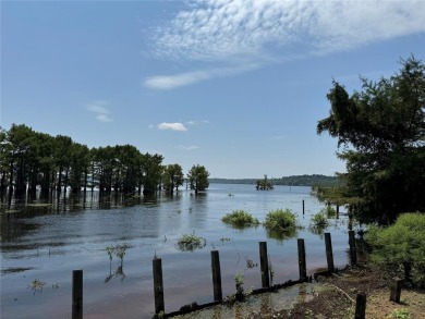 Lake Lot For Sale in Elm Grove, Louisiana