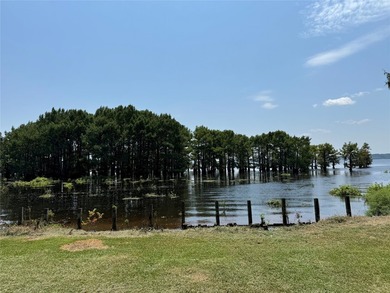 Great waterfront lot on Lake Bistineau near the open water of - photo 2