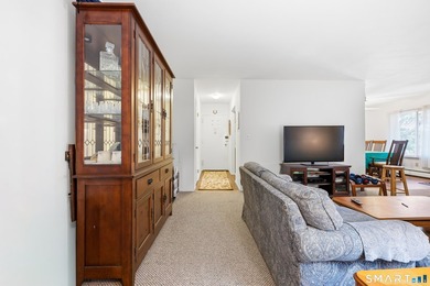 Incredible opportunity to own a fantastic, hassle-free condo at - photo 13