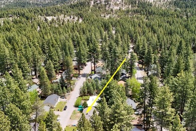 Welcome to 3384 Bruce Avenue, a South Lake Tahoe gem that - photo 50