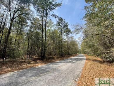 Discover the potential of this exceptional 217-acre tract - photo 2