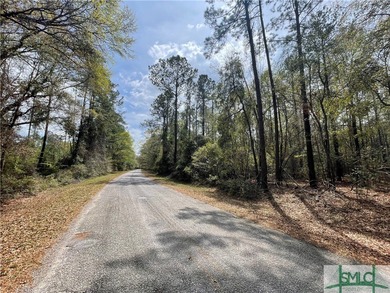Discover the potential of this exceptional 217-acre tract - photo 3
