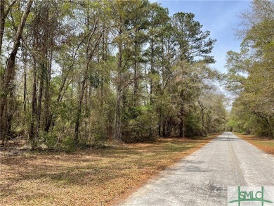 Discover the potential of this exceptional 217-acre tract - photo 4