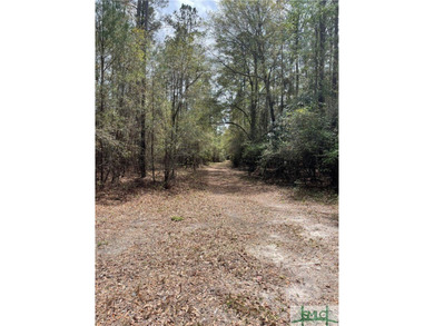 Discover the potential of this exceptional 217-acre tract - photo 6