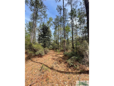 Discover the potential of this exceptional 217-acre tract - photo 7