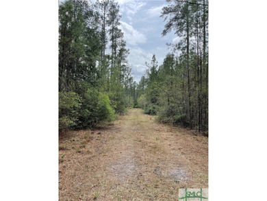 Discover the potential of this exceptional 217-acre tract - photo 8