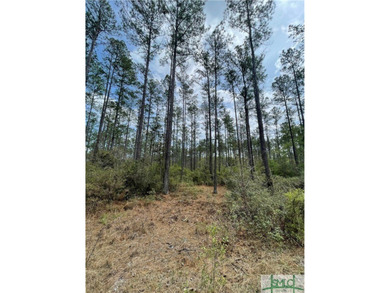 Discover the potential of this exceptional 217-acre tract - photo 9