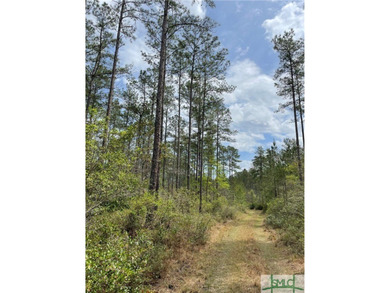 Discover the potential of this exceptional 217-acre tract - photo 10