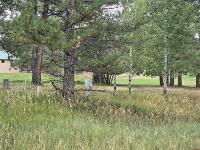 Pinon Lake Lot For Sale in Pagosa Springs Colorado