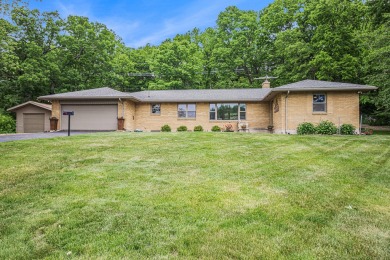 Lake Home For Sale in Belmont, Michigan