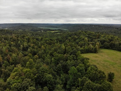 Looking for unrestricted acreage near the lake? Call Josh! - photo 13