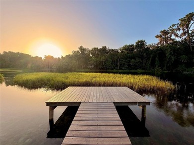 Welcome to one of the Rainbow River's most desired locations - photo 5