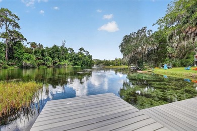 Welcome to one of the Rainbow River's most desired locations - photo 6