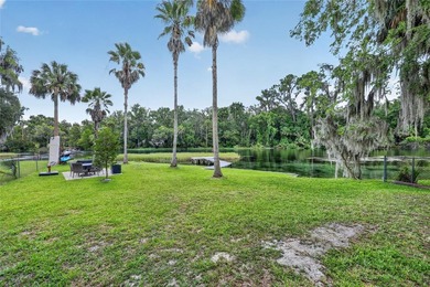 Welcome to one of the Rainbow River's most desired locations - photo 9